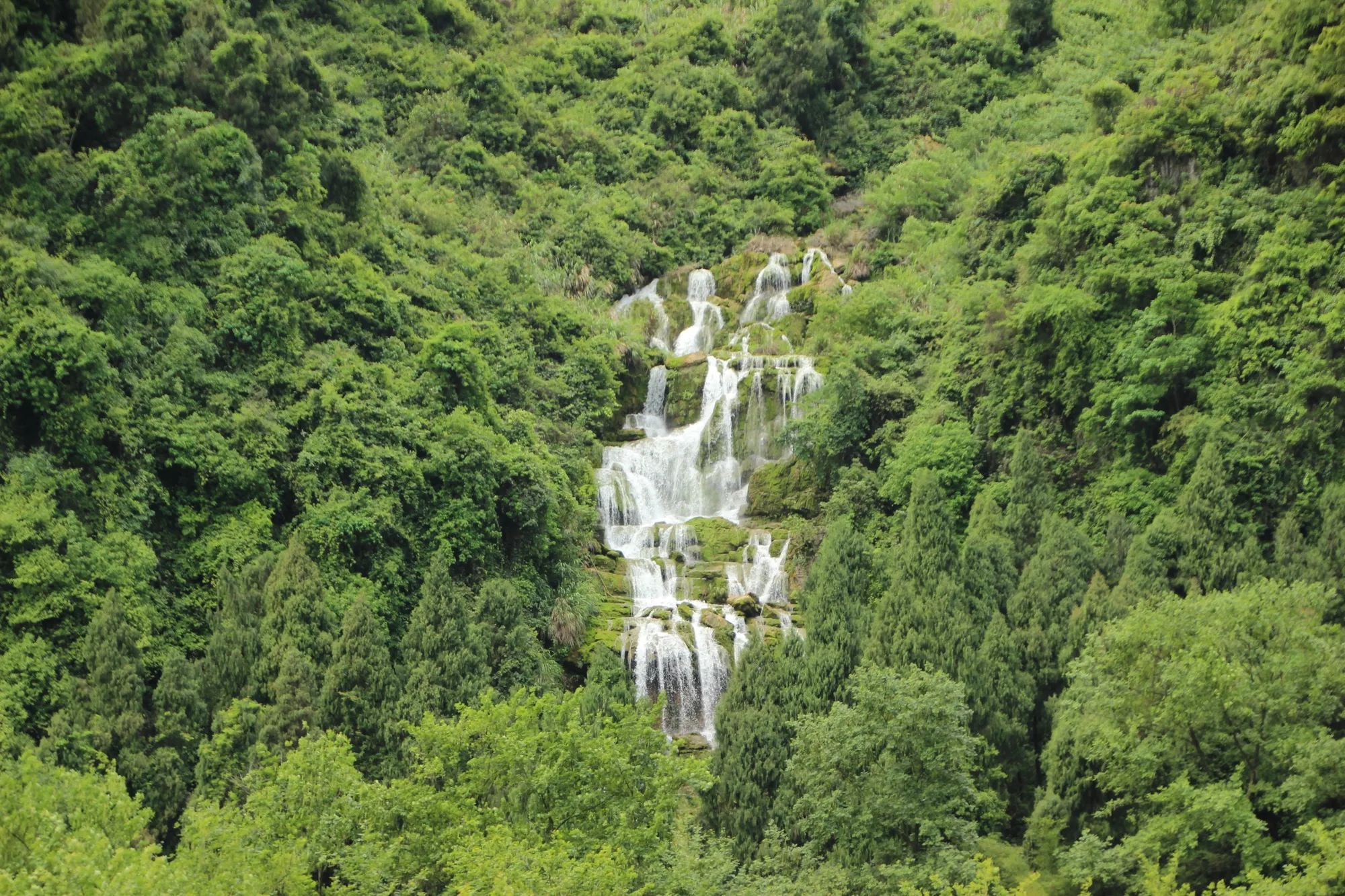 Forests and waterfalls near Sawantwadi