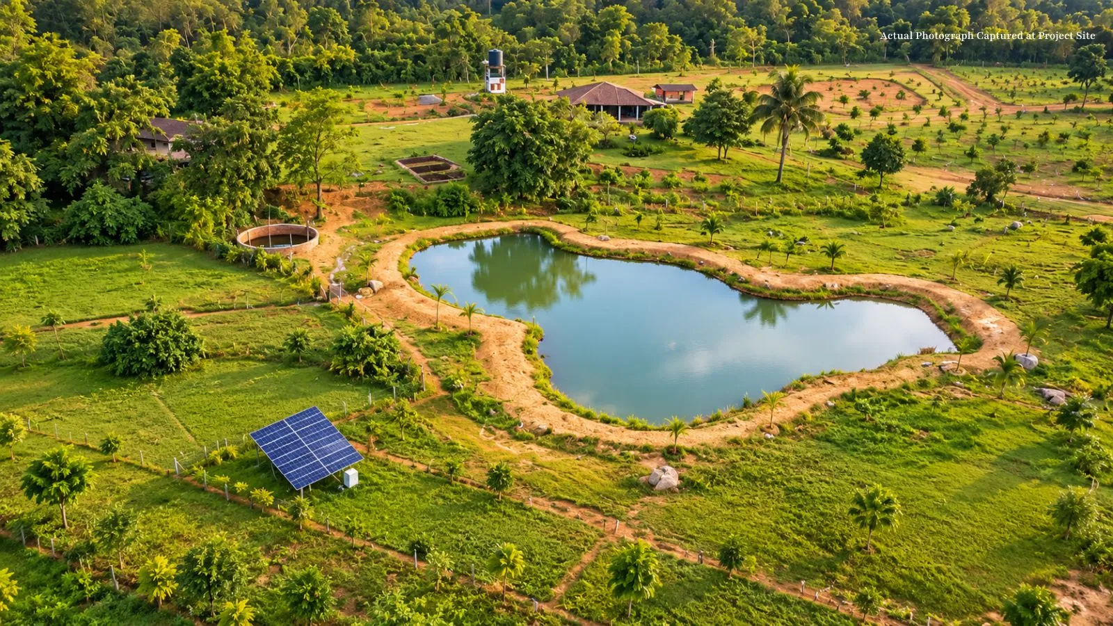 Managed farmland