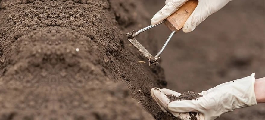Soil Analysis